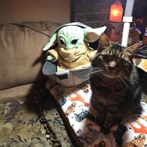 Meet your Posher, Sandra